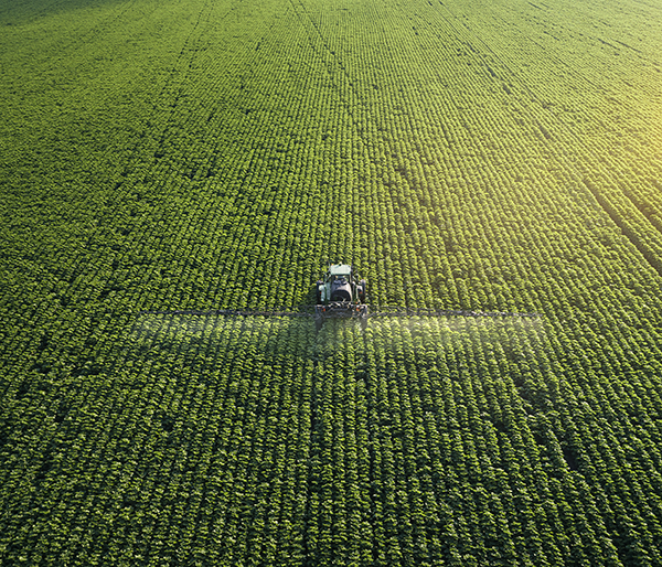 Agriculture Case Study