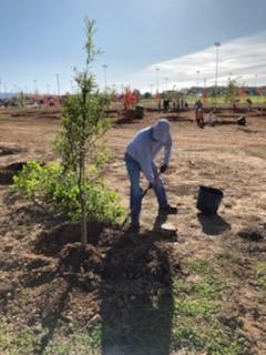 Covanta Huntsville Tree Planting