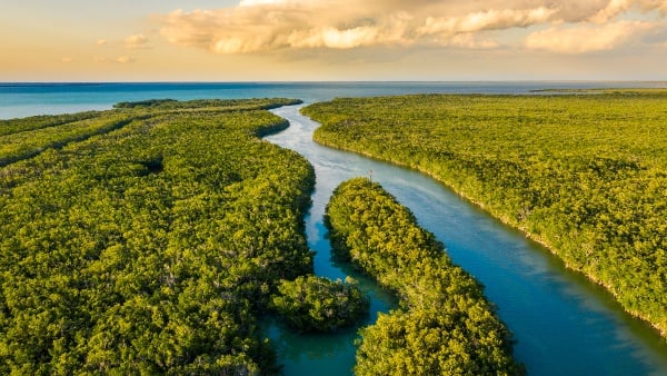 the-florida-everglades-1